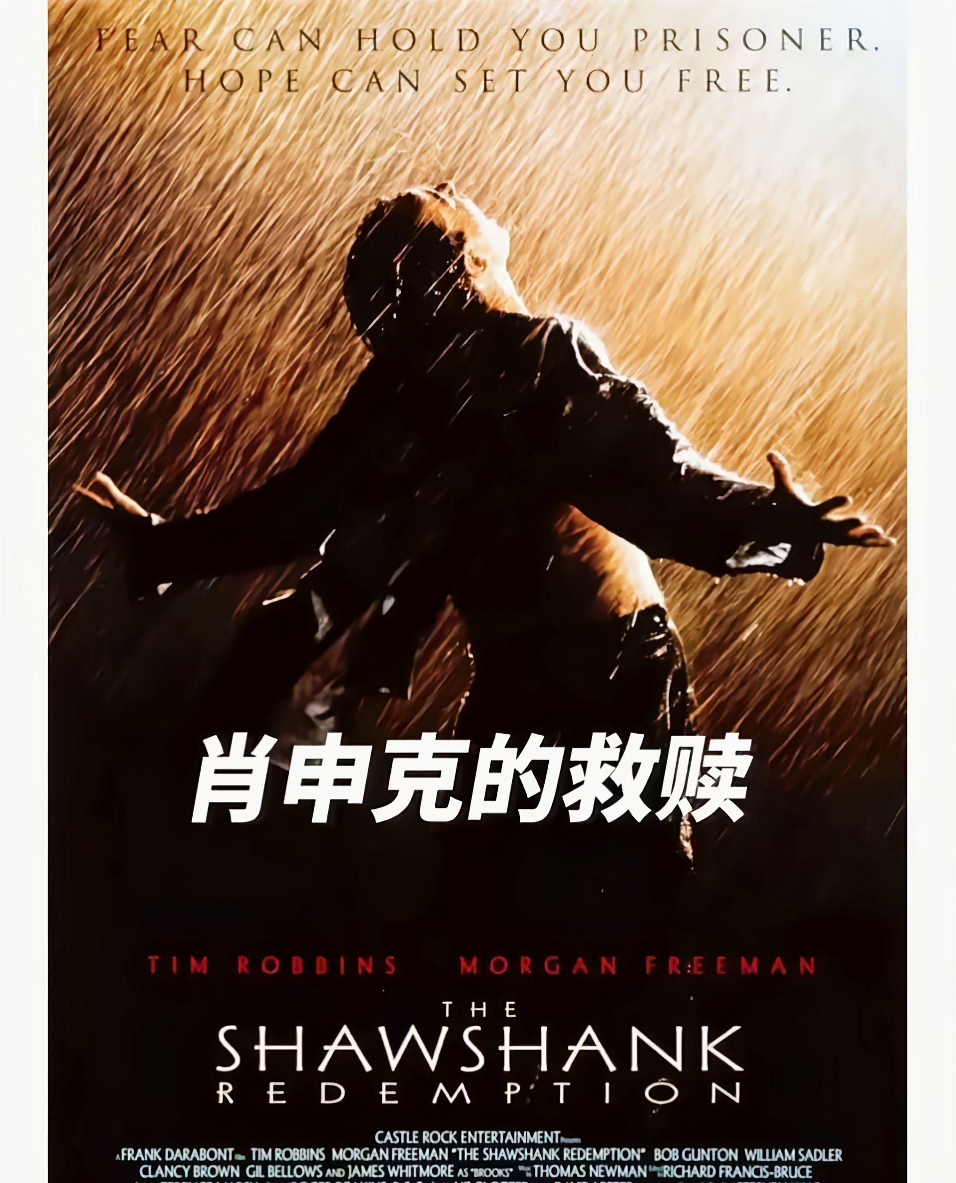 包含西悉尼流浪者队长激励全队，挑战强敌士气高昂的词条