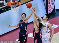 关于高诗岩19分山东胜浙江胡金秋22分广厦胜宁波的信息